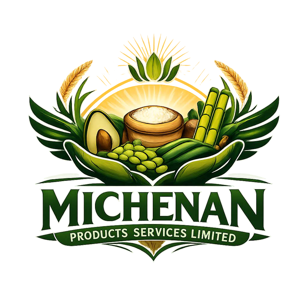 Micheagan Logo